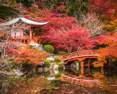 Традиционный Киото: на что стоит посмотреть в древней столице Японии |  Дневники Авантюристов | Travel | Дзен