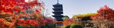 Сад Киото: где находится и что посмотреть рядом