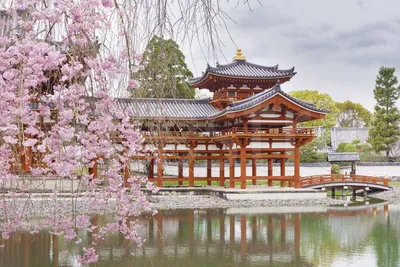 Японский сад Киото Япония :: Swea Land – Социальная сеть ФотоКто