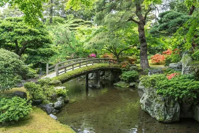 традиционный японский сад осенью, этот сад сияет осенними листьями, киото  кацура императорская вилла Hd фотография фото, вода фон картинки и Фото для  бесплатной загрузки