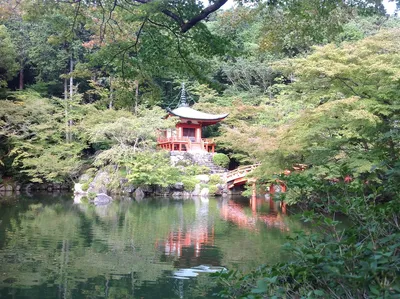 Традиционный японский ландшафтный сад в киото стоковое фото ©jackmalipan  30550681