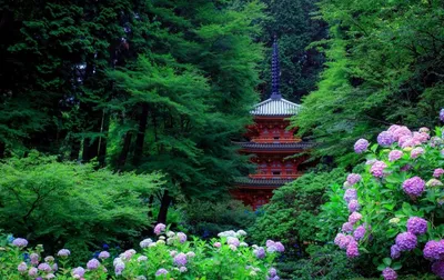 Путеводитель по Киото — как добраться, где остановиться и что посмотреть