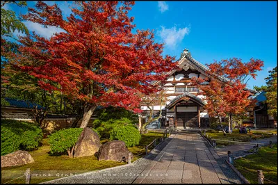 Фотообои Удивительный сад Храма Киото в Японии купить в Москве, Арт. 10-017  в интернет-магазине, цены в Мастерфресок
