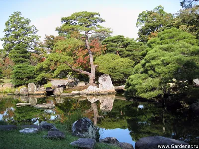 Японский сад храм Хигасиямы Джишо-дзи, Киото Редакционное Стоковое Фото -  изображение насчитывающей дзэн, япония: 164979248