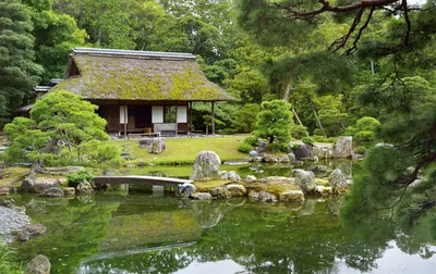Ботанический сад Киото. Япония. | limit лена | Дзен