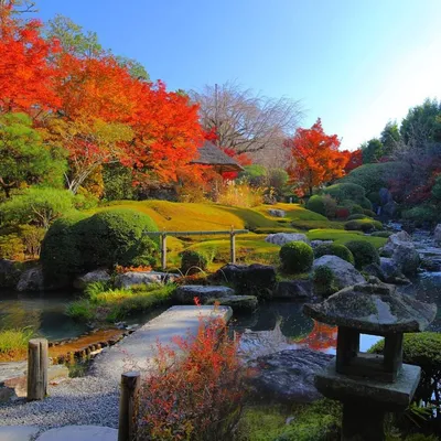 Японский сад в Киото — Фото №111715