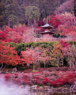 Киотский ботанический сад - Киото, Япония | Sygic Travel