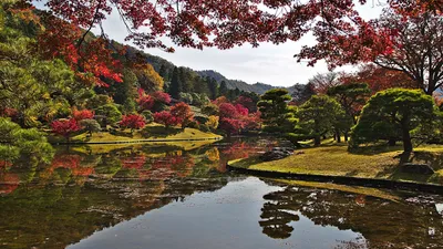ᐉ Картина модульная Сад пруд, парк Киото Япония 2 модуля 40х60 см
