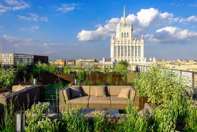 Апартаменты в \"Садах Пекина\" на Маяковской почти распроданы - Российская  газета