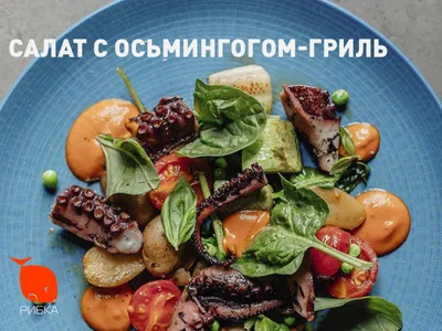 Греческий овощной салат с креветками и авокадо рецепт с фото пошагово -  PhotoRecept.ru
