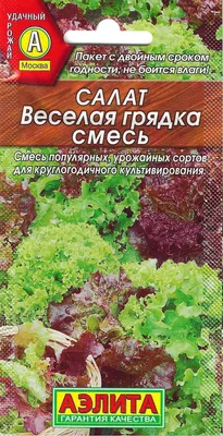 Салат Зелена грядка Легкий день Микс 180г ❤️ доставка на дом от магазина  Zakaz.ua