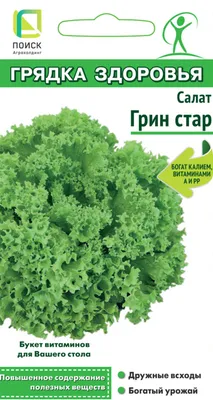 Салат листовой - «Салат листовой в правильном питании и очищении организма☆  7 причин того, что начать выращивать и употреблять салата ↓ Готовим любимый  салат Цезарь❤» | отзывы
