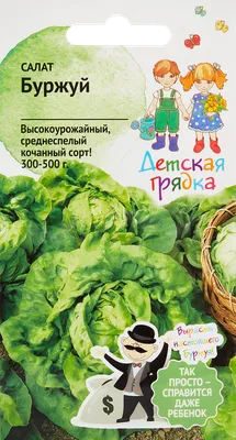 Отзыв о Семена салата листового Сибирский огород \"Андромеда\" | Пышный салат  на грядке.
