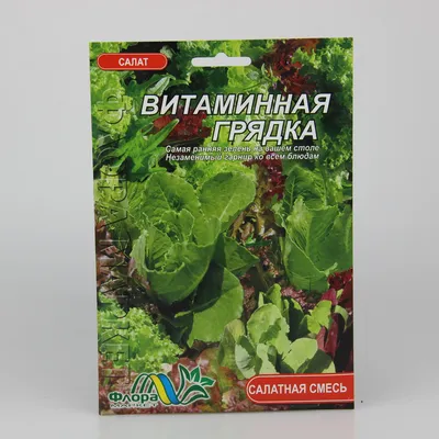 зеленые листья цикория и салат на грядке в овощеводстве Стоковое  Изображение - изображение насчитывающей бразилии, сельхозугодий: 217847353