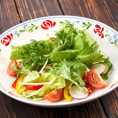 Кресс-салат Весенний, семена Агроуспех Много-Выгодно 5г (150) в ТПК РОСТИ -  ТПК Рости