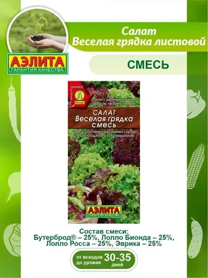 Семена салата Афицион купить в Украине | Веснодар