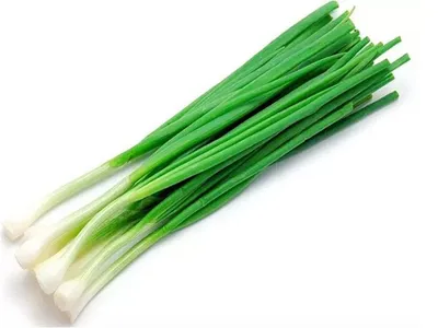 Зеленый лук самый полезный овощ. | урожайный сад и огород | Дзен