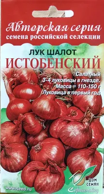 Лук репчатый Красный салатный 0,5 г купить в интернет-магазине RemontDoma