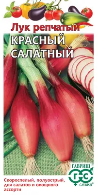 Купить Зеленый лук, 1 кг за 455 руб. с доставкой в интернет-магазине  ПРОВИАНТ33 по Владимиру и области