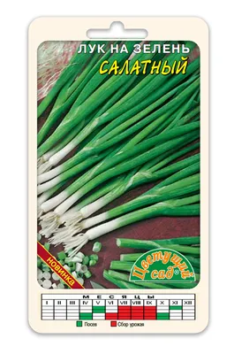 Семена лук репчатый Даниловский 301 салатный, среднеспелый купить по цене  55 ₽ в интернет-магазине KazanExpress