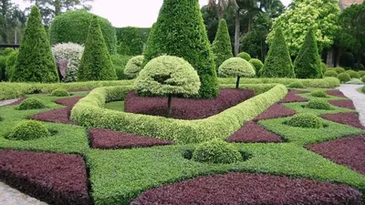 Самые красивые ботанические сады в мире фото фотографии