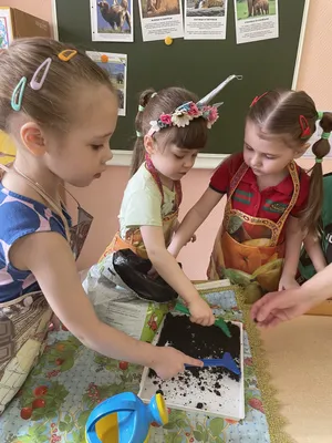 ТОП-10 необычных детских садов мира | ARCHITIME.RU