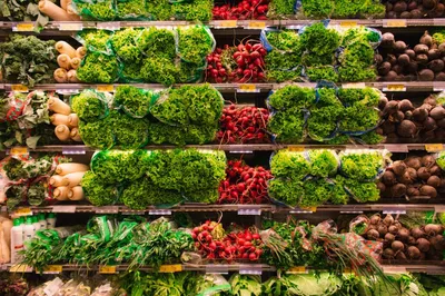 ➤ Холодильные витрины для овощей и фруктов, ❆ купить холодильник для овощей  и фруктов, Киев, цена - HolodMax