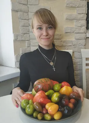 Стартует конкурс «Минусинский помидор»