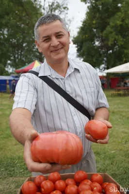 На фестивале «Ивьевский помидор» приготовили рекордный 4-метровый бутерброд