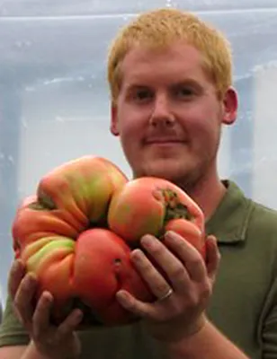 Green House Tver - 1) Помидор — самый популярный фрукт в мире. 2) Самый  холодоустойчивый овощ на планете – арктический хрен. Он сохраняет  способность цвести даже в трескучие морозы. 3) Лук и