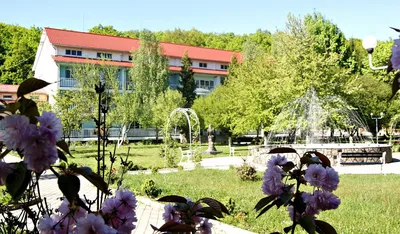 Тур на отдых в отеле Теплица Санаторий в Виноградов, Закарпатская область,  цены на путевки, фото, отзывы — Join UP!
