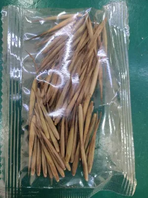 Купить SAFLAX - Бамбук мосо - семена 20 - Phyllostachys pubescens | Joom