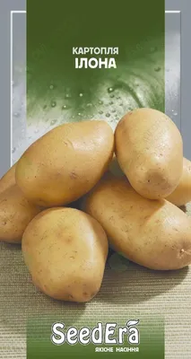 Эволюшен, семена картофеля, 2 репродукция