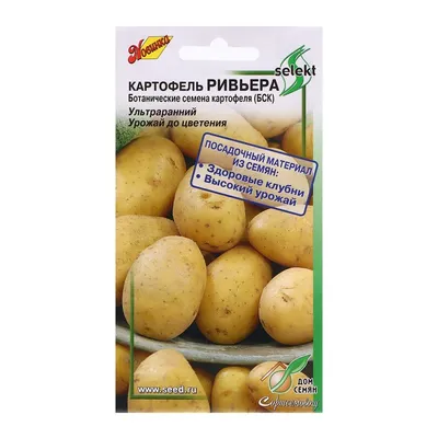 https://leroymerlin.ru/product/semena-kartofel-semennoy-gala-2-kg-elita-81951008/