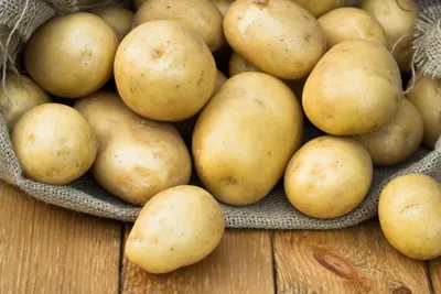 Семена картофеля \"Миледи и Романа\" купить в Павлодаре