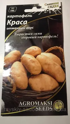 семена картофеля Милена, купить за 15.00 грн. :: Rastim