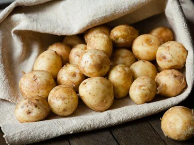 Семена картофеля Краса 0,02 Среднеспелый. (ID#1109017808), цена: 9 ₴,  купить на Prom.ua