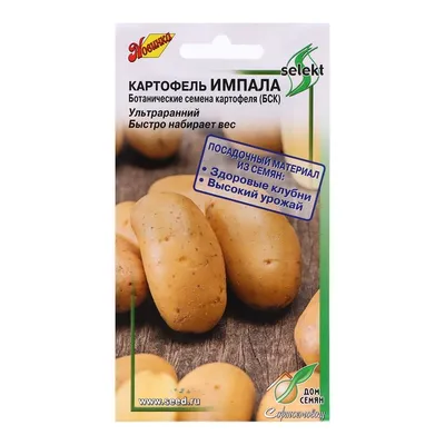 Сорта картофеля с жёлтой, кремовой и белой мякотью - Сорт картофеля Каратоп