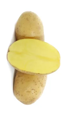 Два новых сорта картофеля созданы в рамках ФНТП развития сельского хозяйства