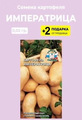 Семена картофеля Ривьера купить в Могилеве