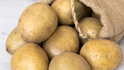 Продам семена картофеля Ривьера, Иван да Марья — Agro-Ukraine
