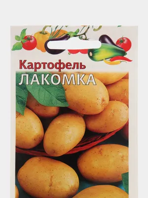 Купить Семена картофеля Адретта элита в Минске: цена, характеристики
