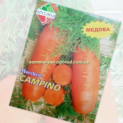 Семена моркови Вкусняшка 20 г (ID#1176311929), цена: 8 ₴, купить на Prom.ua