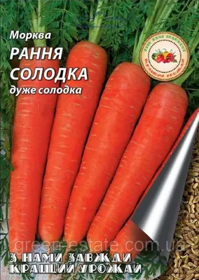 Семена моркови, длинные тупые, без ксилемы (сердце) - Цена: €1.85