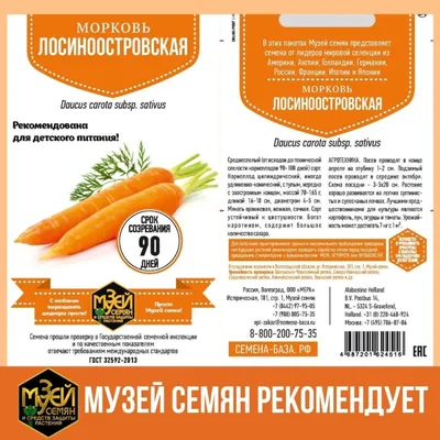Семена моркови Боливар F1 - Bolivar F1 от HM-Clause купить в Казахстане
