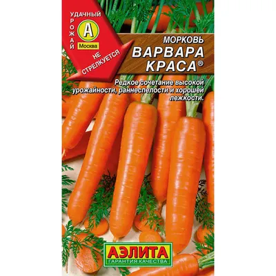 Семена моркови Лосиноостровская - Музей Семян
