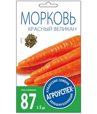 Ввезенные из Нидерландов в Казахстан семена моркови оказались зараженными |  Inbusiness.kz