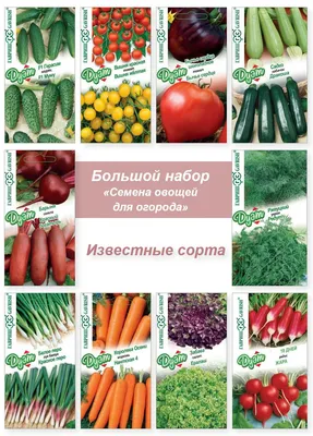 Введение в мир овощного садоводства: семена овощей - Бізнес - Статьи