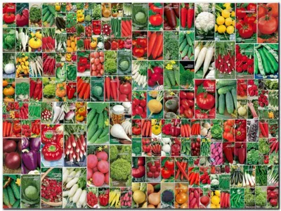 Как правильно сеять семена овощей, чтобы получить здоровую и крепкую  рассаду? - посадка, уход, фото, как вырастить и собрать урожай - «Блог  Флориум.юа» 2024