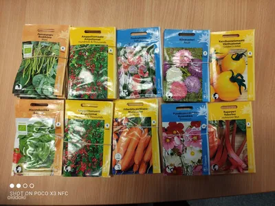 Семена огурцов овощи для огорода (10 пакетиков) | AliExpress